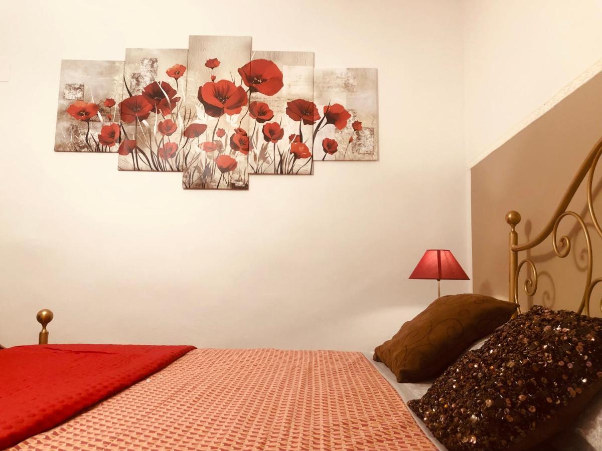 M&M I Navicelli Apartment Livorno Exterior photo